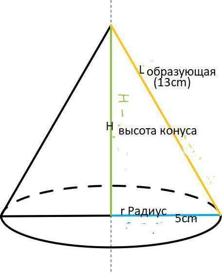 Радиус основания конуса равен 5 см, а образующая конуса равна 13 см. Найдите объём конуса, и площадь