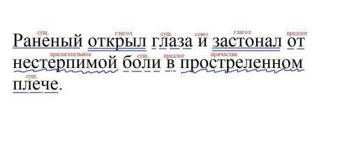 Разобрать по членам предложения и подписать к какой части речи относится каждое слово. Раненый откры