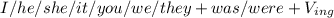 I/he/she/it/you/we/they+was/were+V_{ing}