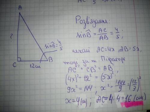 У трикутнику ABC кут С=90, sin B=⅘, BC=12 см. Знайдіть довжину кактета АС​