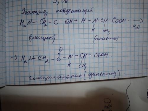 Укажите сумму всех коэффициентов в реакции конденсации аминокислот.