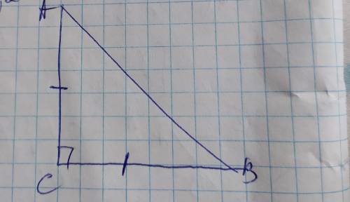 У рівнобедреному трикутнику основа дорівнює 8 см, кут при основі 45°. Знайти площу.