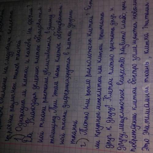 Однородны ли клетки и какова их форма? 2. Плотно или рыхло расположены клетки? 3. Есть ли крупные ме