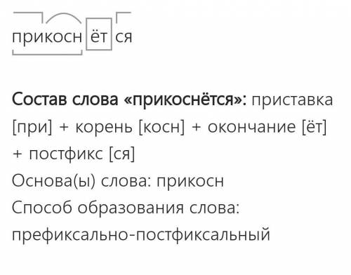 Слово образовательный разбор слова прикосннтся​