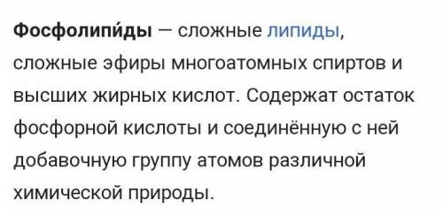 Если учесть, что жиры не растворимы, а фосфорная кислота растворима какова будет растворимость молек