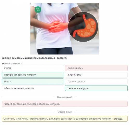 Выбери симптомы и причины заболевания – гастрит. Верных ответов: 4нарушения режима питанияЖидкий сту