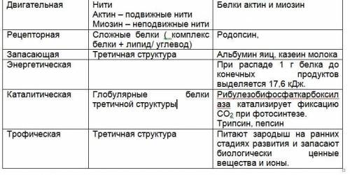 Здравствуйте Составить таблицу:1 столбец- функция белка2 столбец особенностьстроения3 столбец пример