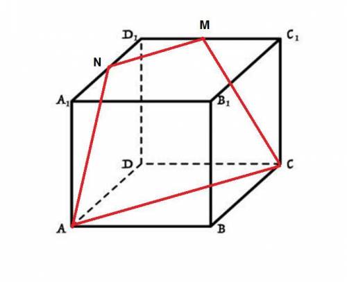 Побудуйте переріз куба АВСDA1B1C1D1 площиною,яка проходить через точки А,С ,М.де М- середина ребра:С