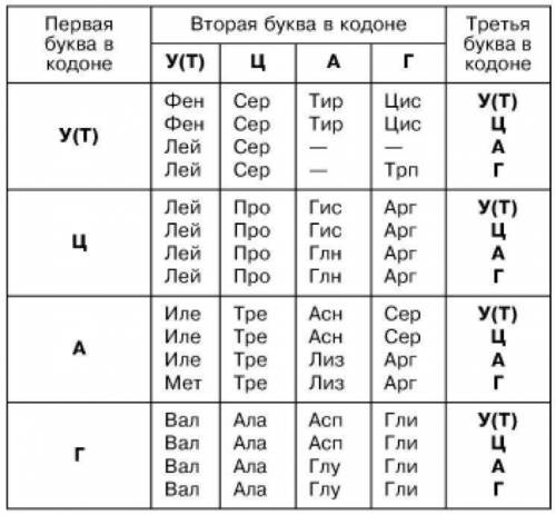 Участок молекулы ДНК, кодирующий часть полипептида имеет следующее строение: -А-Ц-Ц-А-Т-А-Г-Т-Ц-Ц-А-