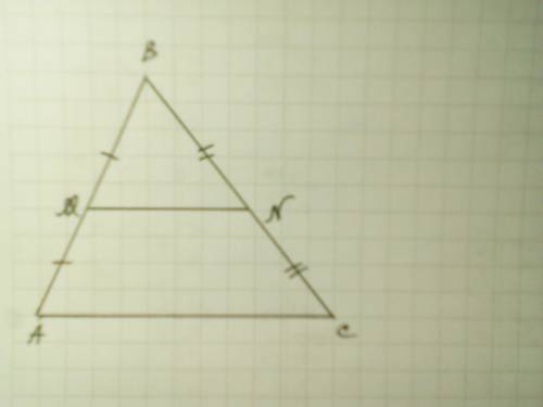 Средняя линия MN треугольника ABC отсекает от него трапецию с боковыми сторонами 8дм и 12 дм , и мен