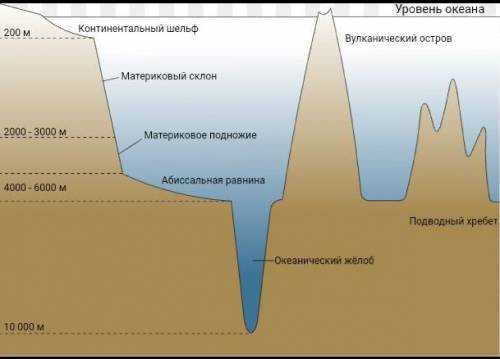 Какими отложениями сложено дно мирового океана ?​