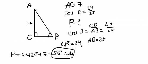 У трикутнику abc кут c=90° ac=7см cosb= 24/25 знайти перимитер трикутника​