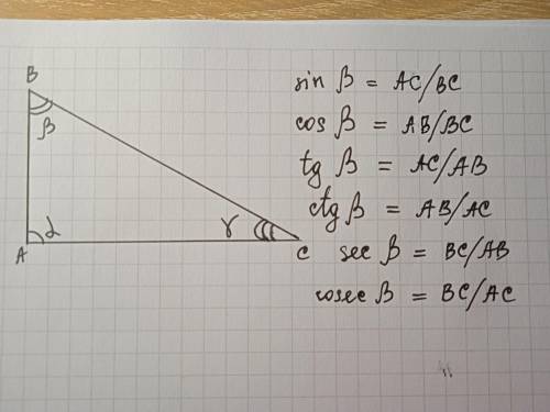 Выведите 6 отношений между сторонами и углами в прямоугольном треугольнике для угла бетта