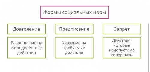 Что такое социальные нормы? как они образуются? ​