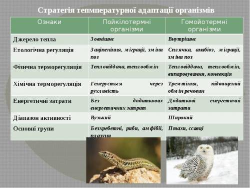 Самостійна робота з таблиця особливості терморегуляції різних груп організмів