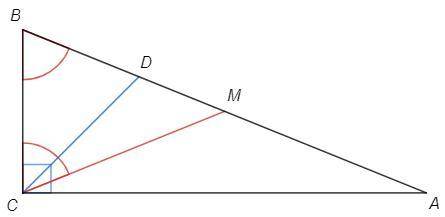 острый угол b прямоугольного треугольника abc равен 68. Найдите угол между биссектрисой cd и медиано