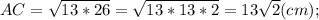 AC=\sqrt{13*26}=\sqrt{13*13*2}=13\sqrt{2} (cm);