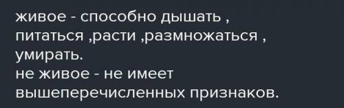 Живое отличается от неживого