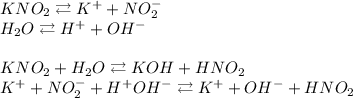 KNO_2 \rightleftarrows K^+ + NO_2^-\\H_2O \rightleftarrows H^+ + OH^-\\\\KNO_2 + H_2O \rightleftarrows KOH + HNO_2\\K^+ + NO_2^- + H^+OH^- \rightleftarrows K^+ + OH^- + HNO_2