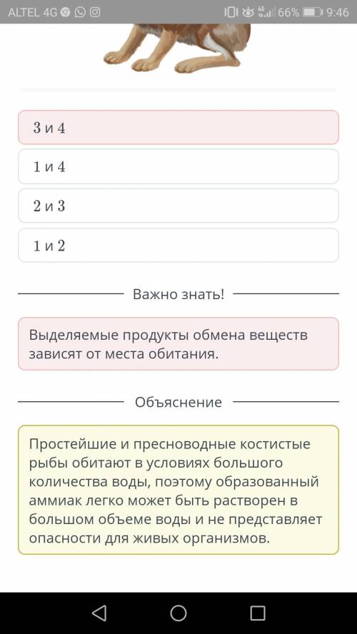 На рисунках изображены животные, которые по - разному выделяют продукты азотистого расщепления белка