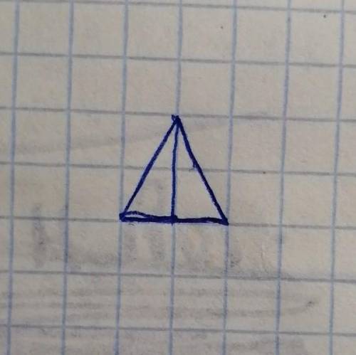Верно ли утверждение, что в равностороннем треугольнике только одна высота делит его на два равных т