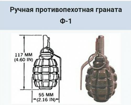 Яка маса зарядженої гранати Ф-1 ?