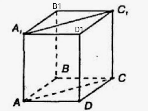Сторона основания прямоугольного параллелепипеда 6 см, высота призмы 5 см. Найдите площадь его диаго