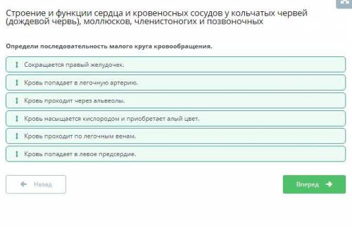 Определи последовательность малого круга кровообращения. Кровь проходит по легочным венамКровь насыщ