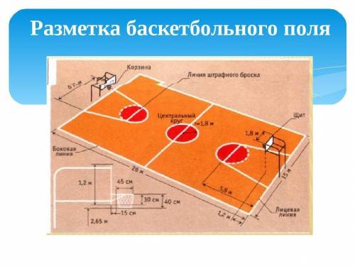 Намалювати розмітку баскетбольного майданчика в форматі А4 з збереженням усіх ліній і дотриманням пр