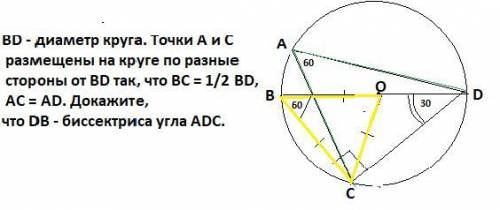 діаметр кола. Точки А і C розміщені на колі по різні боки від BD так , що BC= 1/2 BD, AC=AD. Доведіт