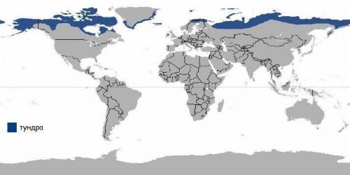 Тундра 1.Название природной зоны 2.Географическое положение 3.Особенности климата, климатический поя