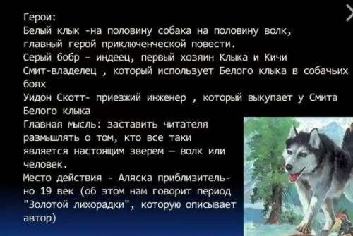 Сравните героев двух произведений: зоолога Дмитрия Шамовича из документального фильма «Тропой волка»