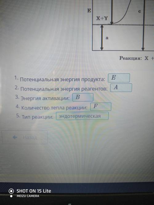 Найди значение областей на диаграмме, показывающих изменение потенциальной энергии во время Химическ