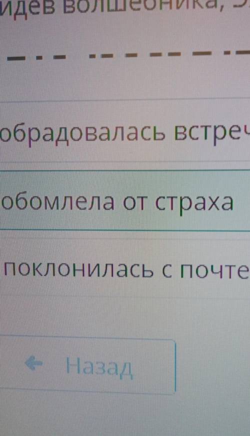 Волшебные города. А. Волков «Волшебник Изумрудного города» Закончи предложение.Увидев волшебника Элл