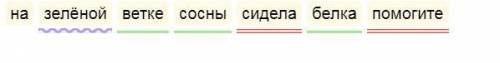 Синтаксический разбор на зелёной ветке сосны сидела белка