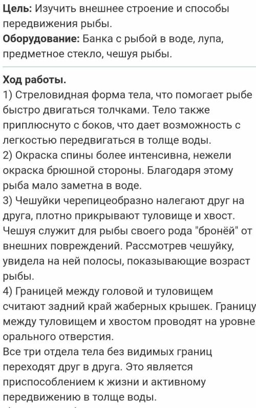 Лабораторная работа по биологии 7 класс внешнее строение и передвижение рыб рассмотреть надо одну ры