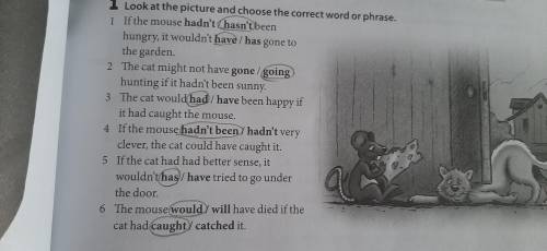 1 Look at the picture and choose the correct word or phrase. 1 If the mouse hadn't / hasn't been Boo