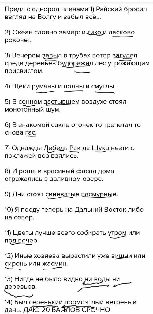 Предл с однород членами 1) Райский бросил взгляд на Волгу и забыл всё… 2) Океан словно замер: и тихо