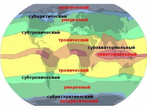 Где расположен субтропический пояс ​