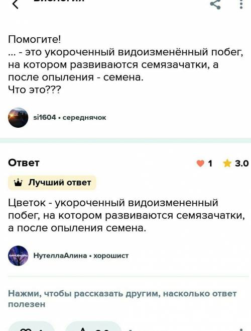 Видоизмененный побег, на котором развиваются семязачатки что за побег