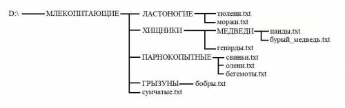 Даны полные имена файлов, хранящихся на диске D. Изобразите соответствующую файловую структуру