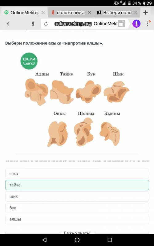 Выбери положение аcыка «напротив алшы».BILIMLandАлшыТайкеБукШикОнкыШонкыкынкы3 х​