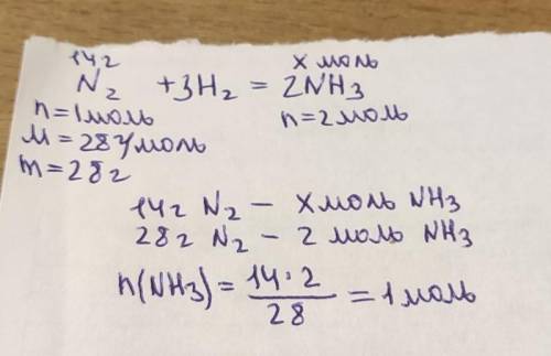 Сколько молей аммиака образуется при взаимодействии 14 г азота с водородом​