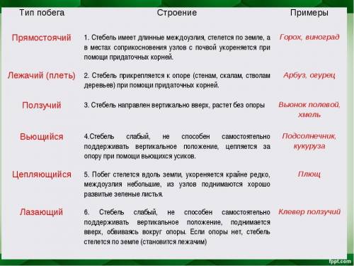 Напишите краткое описание каждого вида побегов.