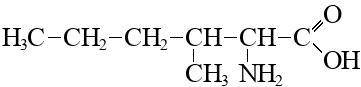 Написать формулы а) 3-этилгептамин-2 б)3,3-диметил-2-нитрогексанол-1 в)3-пропил-2-аминобутановая кис