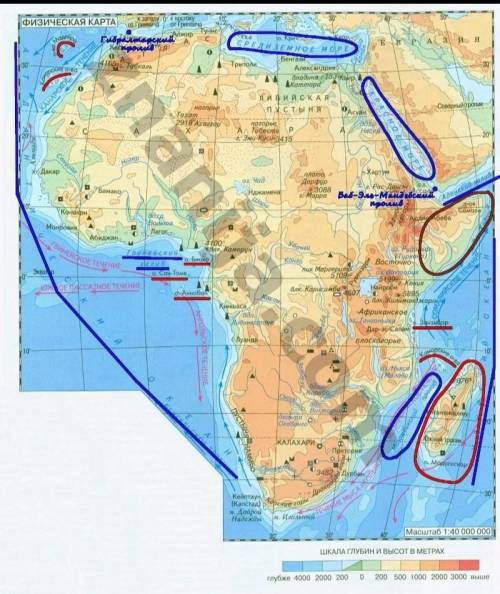 В контурной карте обозначить По Африке: береговая линия (моря, заливы, проливы, острова, полуострова