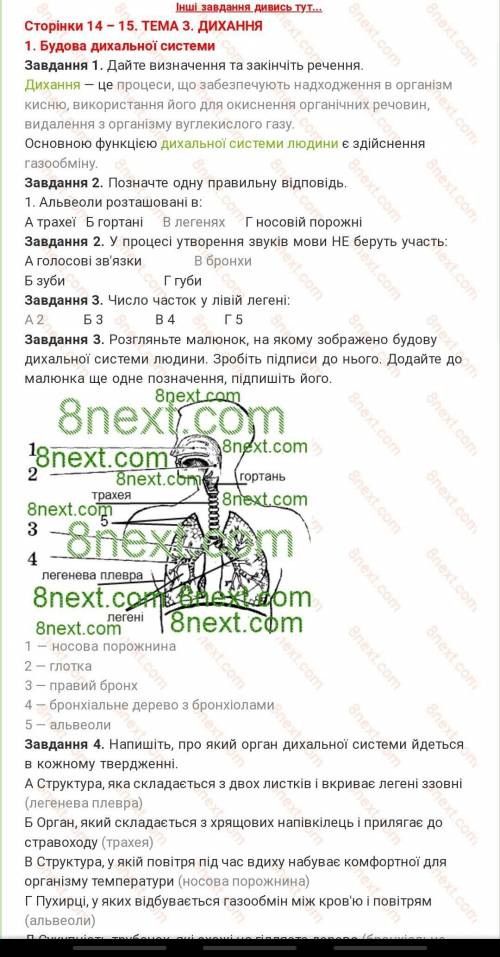 Структура у якій повітря під час вдиху набуває комфортної для організму температури ​