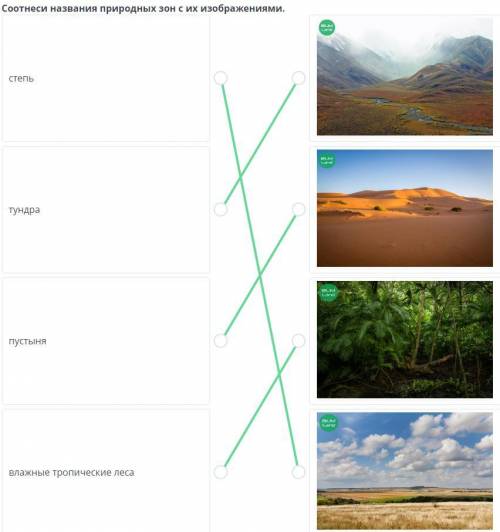 Соотнеси названия природных зон с их изображениями.СтепьтундрапустыняВлажныетропические леса​