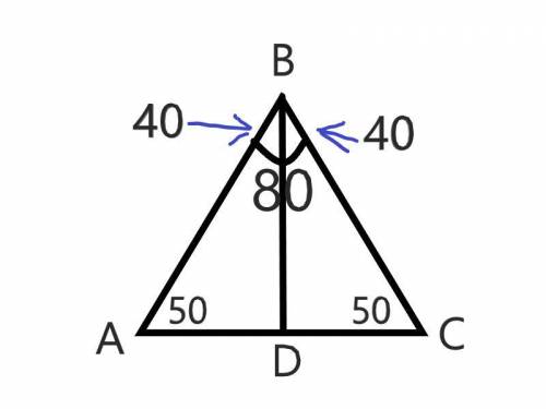   АВС - равнобедренный с основание АС. С = 50⁰ , В = 80⁰  Проведена медиана ВД. Найдите углы  АВД.​