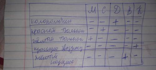 Маша,Саша,Даша,Валя и Катя рисовали цветы.Они нарисовали колокольчик,красный тюльпан,жёлтый тюльпан,